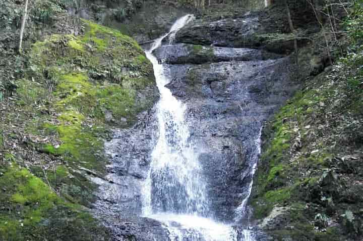 �����̑�E�a��s